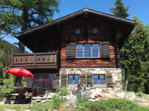 Chalet Balfrin Alpweg 9, 3987 Riederalp